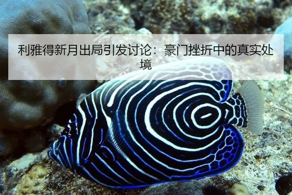 li-ya-de-xin-yue-chu-ju-yin-fa-tao-lun-hao-men-cuo-zhe-zhong-de-zhen-shi-chu-jing-2-692.jpg